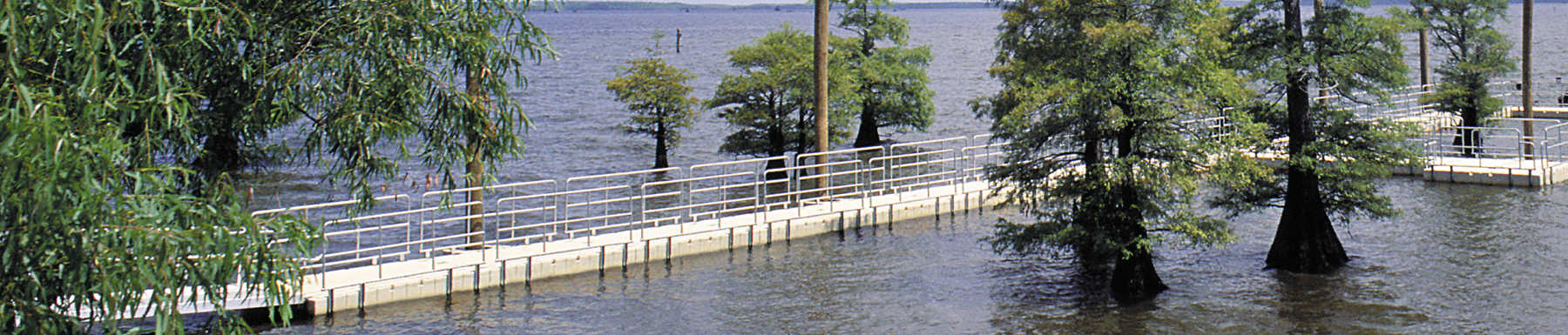 Wide angle view of floating dock with trees