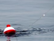 fishing bobber close up