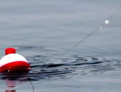 fishing bobber close up