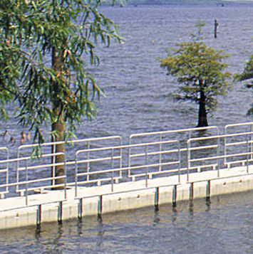 Floating dock with trees in water