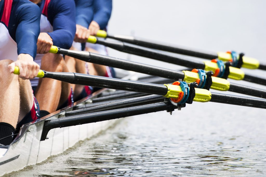 Close up of rowing team's paddles