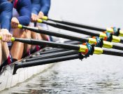 Close up of rowing team's paddles