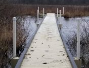 Floating dock with lake brush