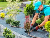 Man adjusting irrigation system in garden