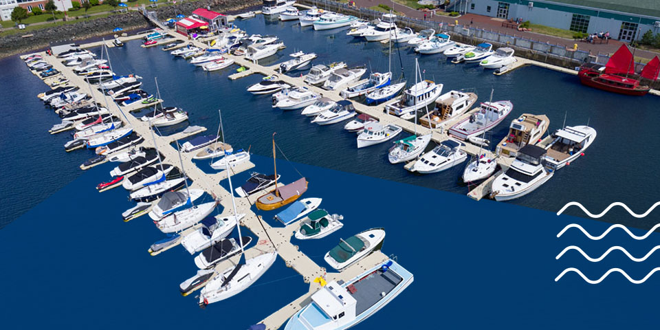 Boats in a marina