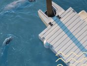 Two sea lions swimming in shallow water beside a gray mooring dock